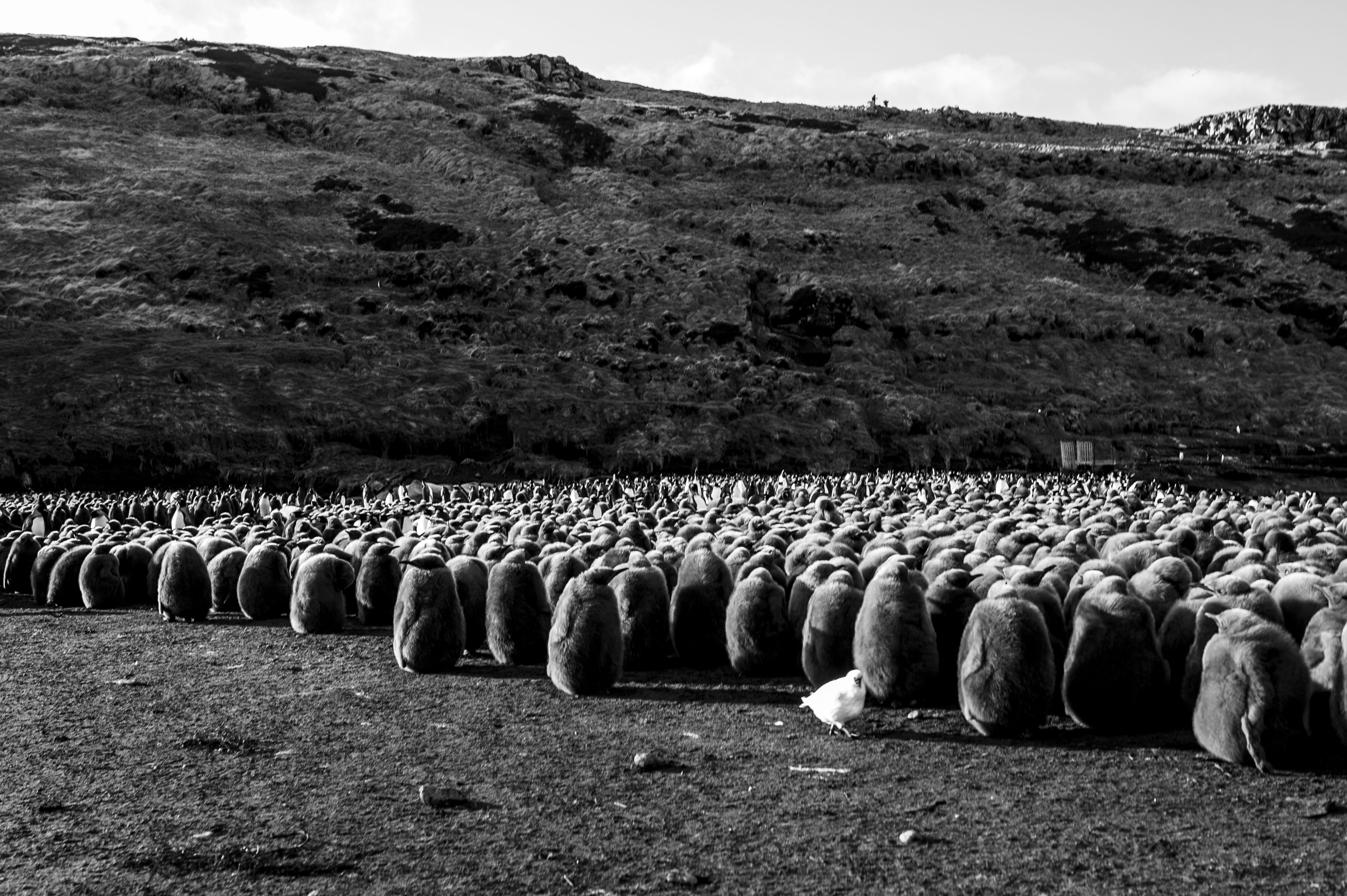 GYT 20220701 135928  DSC6301